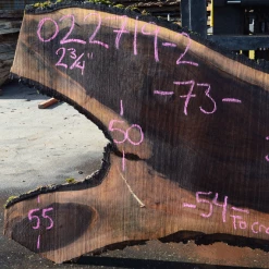 Goby Walnut Products 022719-02 Oregon Black Walnut Slab