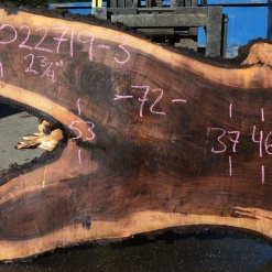 Goby Walnut Products Green Slabs 022719-03 Oregon Black Walnut Slab