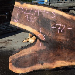 Goby Walnut Products Green Slabs 022719-03 Oregon Black Walnut Slab
