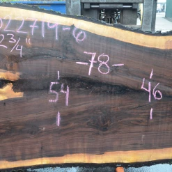 Goby Walnut Products 022719-06 Oregon Black Walnut Slab Green Slabs