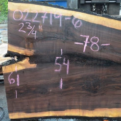 Goby Walnut Products 022719-06 Oregon Black Walnut Slab Green Slabs