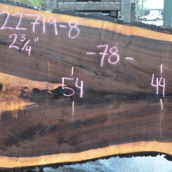 Goby Walnut Products Green Slabs 022719-08 Oregon Black Walnut Slab