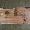 Goby Walnut Oregon Black Walnut Slab 022814-13 Green Slabs