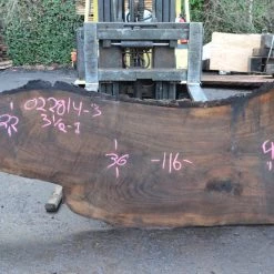 Goby Walnut Oregon Black Walnut Slab 022814-03 Green Slabs