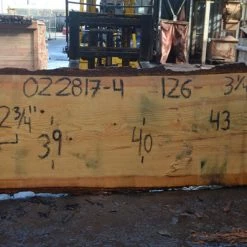 Goby Walnut Green Slabs Oregon Fir Slab 022817-04