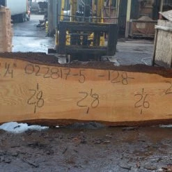 Goby Walnut Oregon Fir Slab 022817-05