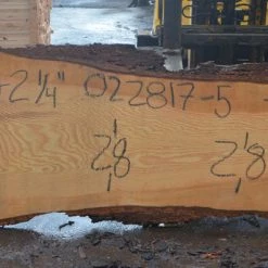 Goby Walnut Oregon Fir Slab 022817-05