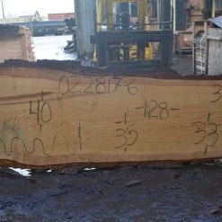 Goby Walnut Green Slabs Oregon Fir Slab 022817-06