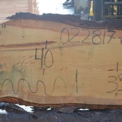 Goby Walnut Green Slabs Oregon Fir Slab 022817-06