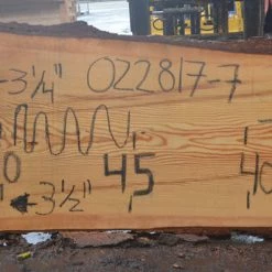 Goby Walnut Oregon Fir Slab 022817-07