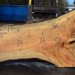 Goby Walnut Products 022819-06 Big Leaf Maple Slab Green Slabs