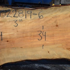 Goby Walnut Products 022819-06 Big Leaf Maple Slab Green Slabs