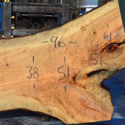 Goby Walnut Products 022819-06 Big Leaf Maple Slab Green Slabs