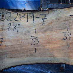 Goby Walnut Products 022819-07 Big Leaf Maple Slab Green Slabs