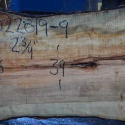 Goby Walnut Products Green Slabs 022819-09 Big Leaf Maple Slab