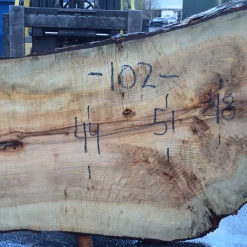 Goby Walnut Products Green Slabs 022819-09 Big Leaf Maple Slab