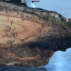 Goby Walnut Products 030119-04 Big Leaf Maple Slab