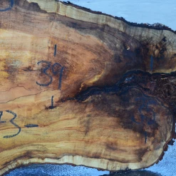 Goby Walnut Products Green Slabs 030119-05 Big Leaf Maple Slab