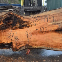 Goby Walnut Products 030119-09 Big Leaf Maple Slab Green Slabs