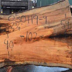 Goby Walnut Products 030119-09 Big Leaf Maple Slab Green Slabs