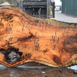 Goby Walnut Products 030119-14 Big Leaf Maple Slab Green Slabs