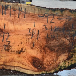 Goby Walnut Products 030119-14 Big Leaf Maple Slab Green Slabs