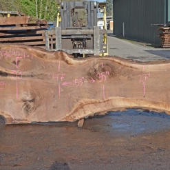 Goby Walnut Products Oregon Black Walnut Slab 030121-01 Green Slabs