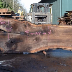 Goby Walnut Products Oregon Black Walnut Slab 030121-02 Green Slabs