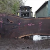 Goby Walnut Products Oregon Black Walnut Slab 030121-04