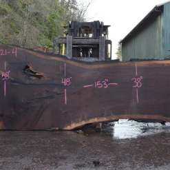 Goby Walnut Products Oregon Black Walnut Slab 030121-04