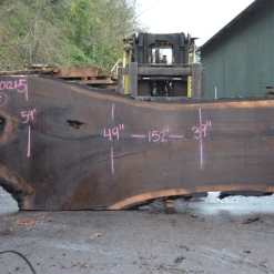 Goby Walnut Products Oregon Black Walnut Slab 030121-05 Green Slabs