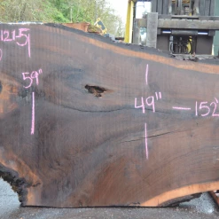 Goby Walnut Products Oregon Black Walnut Slab 030121-05 Green Slabs