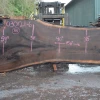 Goby Walnut Products Oregon Black Walnut Slab 030121-06