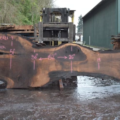 Goby Walnut Products Green Slabs Oregon Black Walnut Slab 030121-09
