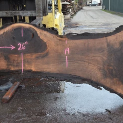 Goby Walnut Products Green Slabs Oregon Black Walnut Slab 030121-09