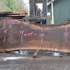 Goby Walnut Products Oregon Black Walnut Slab 030121-10 Green Slabs