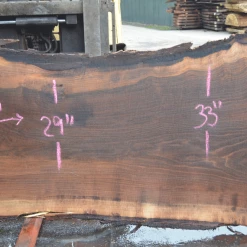 Goby Walnut Products Oregon Black Walnut Slab 030121-10 Green Slabs
