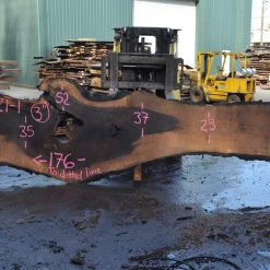 Goby Walnut Products Green Slabs Oregon Black Walnut Slab 030221-01