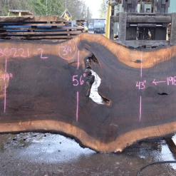 Goby Walnut Products Oregon Black Walnut Slab 030221-02