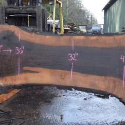 Goby Walnut Products Oregon Black Walnut Slab 030221-02