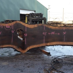 Goby Walnut Products Green Slabs Oregon Black Walnut Slab 030221-03