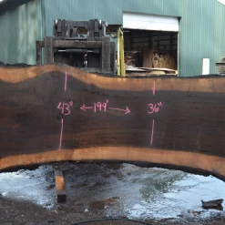 Goby Walnut Products Green Slabs Oregon Black Walnut Slab 030221-03