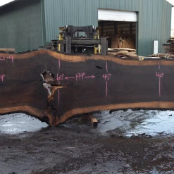 Goby Walnut Products Oregon Black Walnut Slab 030221-04