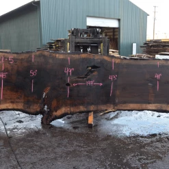 Goby Walnut Products Oregon Black Walnut Slab 030221-05 Green Slabs