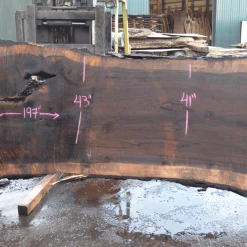 Goby Walnut Products Oregon Black Walnut Slab 030221-05 Green Slabs