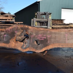 Goby Walnut Products Green Slabs Oregon Black Walnut Slab 030321-01