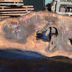 Goby Walnut Products Green Slabs Oregon Black Walnut Slab 030321-01