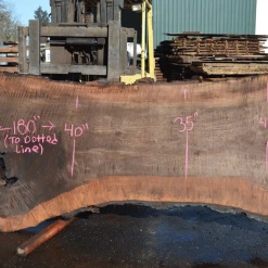 Goby Walnut Products Green Slabs Oregon Black Walnut Slab 030321-01