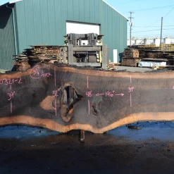 Goby Walnut Products Green Slabs Oregon Black Walnut Slab 030321-02