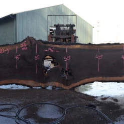 Goby Walnut Products Oregon Black Walnut Slab 030321-03 Green Slabs